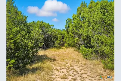 5698 County Road 102, Purmela, TX 76566 - Photo 28