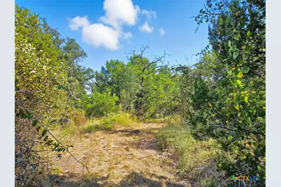 5698 County Road 102, Purmela, TX 76566 - Photo 16