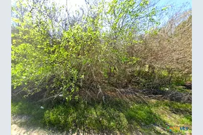 0 Bernard Avenue, Marlin, TX 76661 - Photo 6