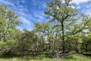 Tbd Cunningham Dr, Lockhart, TX 78644 - Photo 4