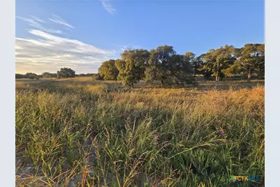 317 Yellowstone Drive, Oglesby, TX 76561 - Photo 2