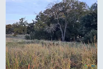 317 Yellowstone Drive, Oglesby, TX 76561 - Photo 10