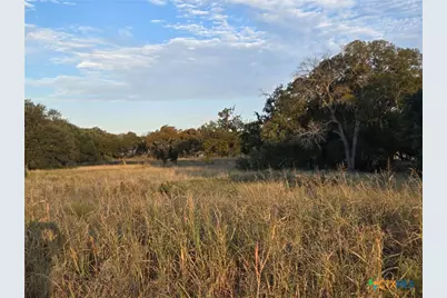 317 Yellowstone Drive, Oglesby, TX 76561 - Photo 1