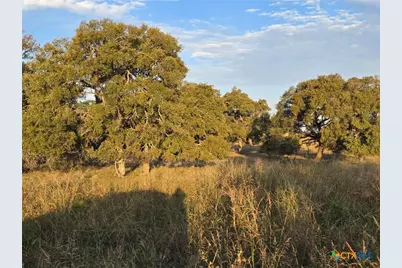 317 Yellowstone Drive, Oglesby, TX 76561 - Photo 8