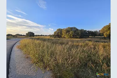 317 Yellowstone Drive, Oglesby, TX 76561 - Photo 4