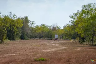 916 Co Rd 421, Waelder, TX 78959 - Photo 12