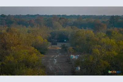 916 County Road 421, Waelder, TX 78959 - Photo 8