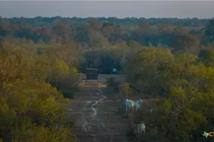 916 Co Rd 421, Waelder, TX 78959 - Photo 8