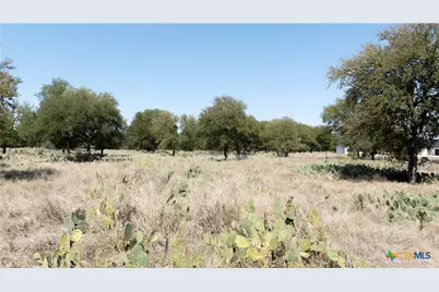 Tbd Rustic Trail, Salado, TX 76571 - Photo 12