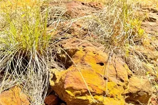 Tbd Rabel Rd, Rosanky, TX 78953 - Photo 1