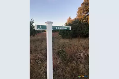 0 A. Coleman Street, Blanco, TX 78606 - Photo 2