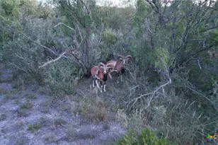 000 Ranch To Market 3008, Brackettville, TX 78832 - Photo 4