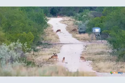 000 Ranch To Market 3008, Brackettville, TX 78832 - Photo 2