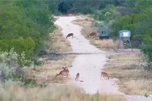 000 Ranch To Market 3008, Brackettville, TX 78832 - Photo 2