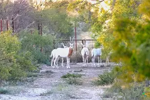 000 Ranch To Market 3008, Brackettville, TX 78832 - Photo 44