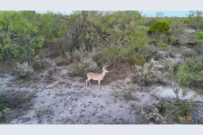 000 Ranch To Market 3008, Brackettville, TX 78832 - Photo 46