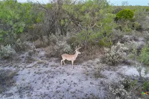 000 Ranch To Market 3008, Brackettville, TX 78832 - Photo 46