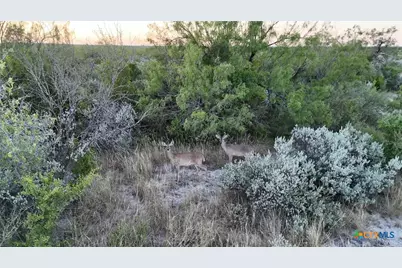 000 Ranch To Market 3008, Brackettville, TX 78832 - Photo 48