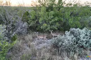 000 Ranch To Market 3008, Brackettville, TX 78832 - Photo 48