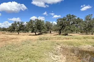 Tbd Nash Creek Rd, Kingsbury, TX 78638 - Photo 28