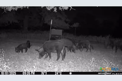 Tbd Nash Creek Road, Kingsbury, TX 78638 - Photo 14