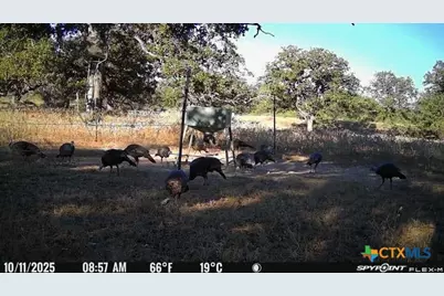 Tbd Nash Creek Road, Kingsbury, TX 78638 - Photo 6