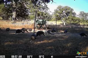 Tbd Nash Creek Rd, Kingsbury, TX 78638 - Photo 6