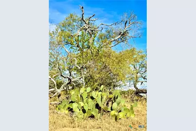 6052 Tenny Creek Rd, Luling, TX 78648 - Photo 14