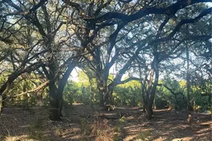 0 County Road 1045, Lampasas, TX 76550 - Photo 10