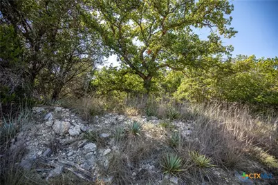 Tbd Wilson Branch Road, Killeen, TX 76542 - Photo 36