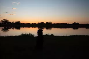 24091 State Hwy 80, Gonzales, TX 78629 - Photo 32