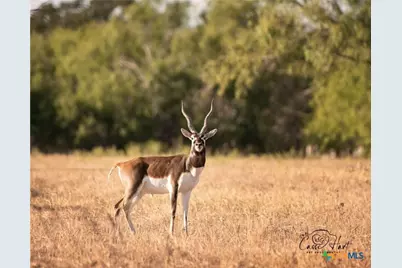24091 State Highway 80, Gonzales, TX 78629 - Photo 34