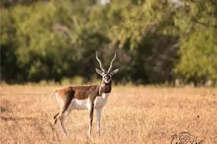 24091 State Hwy 80, Gonzales, TX 78629 - Photo 34