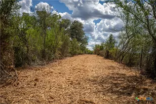 946 Fm 2718, Cuero, TX 77954 - Photo 38