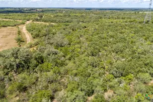 946 Fm 2718, Cuero, TX 77954 - Photo 10