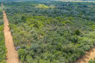 946 Fm 2718, Cuero, TX 77954 - Photo 8