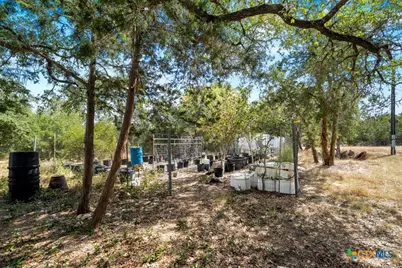 13257 Fm 32, Fischer, TX 78623 - Photo 38