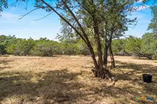 13257 Fm 32, Fischer, TX 78623 - Photo 36