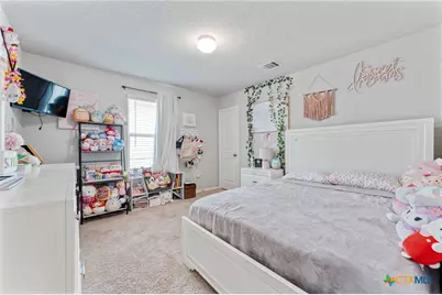 2946 Daisy Meadow, New Braunfels, TX 78130 - Photo 22