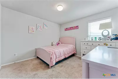 2946 Daisy Meadow, New Braunfels, TX 78130 - Photo 20