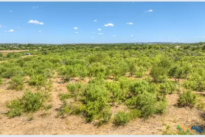 22031A Old Nacogdoches Road, New Braunfels, TX 78132 - Photo 16