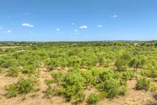 22031A Old Nacogdoches Rd, New Braunfels, TX 78132 - Photo 16