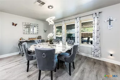 341 Ringtail, Canyon Lake, TX 78133 - Photo 6