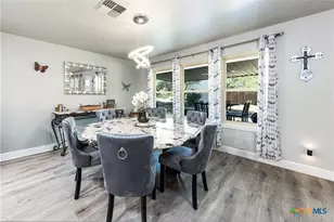 341 Ringtail, Canyon Lake, TX 78133 - Photo 6