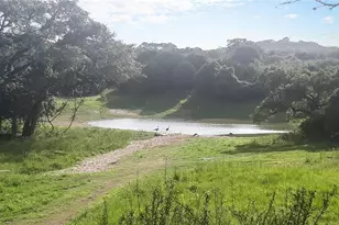 1100 Thompson Ranch Rd, Wimberley, TX 78676 - Photo 22