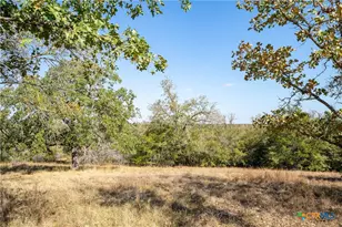 3779 Mule Creek Rd, Harwood, TX 78632 - Photo 4