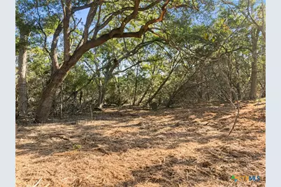 817 Rutherford, Fischer, TX 78623 - Photo 4