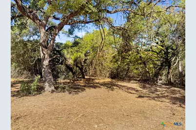 817 Rutherford, Fischer, TX 78623 - Photo 2