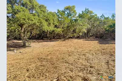 817 Rutherford, Fischer, TX 78623 - Photo 14