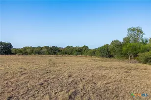 217 Robin Ranch Rd, Lockhart, TX 78644 - Photo 10